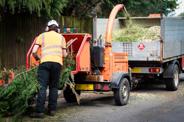 Best Grass Overseeding  in Staunton, VA