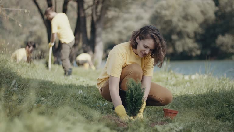 Best Lawn Drainage Solutions  in Staunton, VA